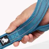 Poignée rembourrée en mesh doux de la laisse pour chien Truelove Walk Plus