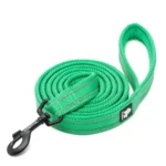 Laisse pour chien Truelove Walk - vert