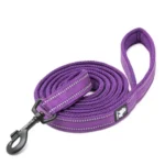 Laisse pour chien Truelove Walk - violet