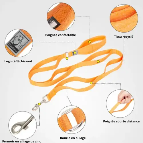 Laisse pour chien ECO : Écologique & Pratique Truelove Multi-poignées Laisse Truelove ECO