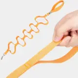 Laisse pour chien ECO : Écologique & Pratique Truelove Multi-poignées Multi-poignées de la laisse pour chien ECO