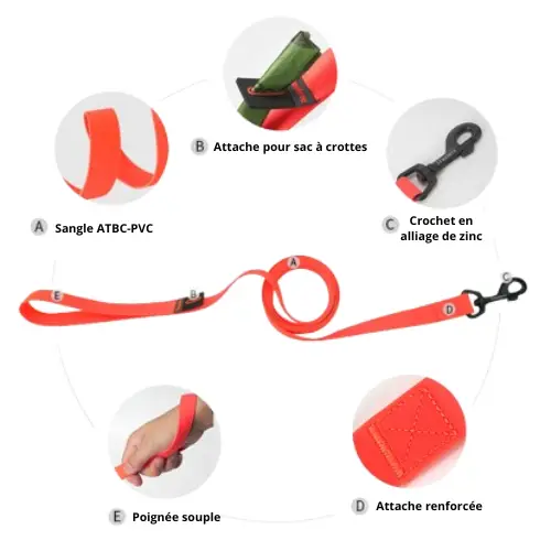 Laisse pour chien waterproof : Imperméable Truelove KARELI PVC Laisse pour chien PVC Truelove KARELI