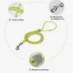 Laisse pour chien Truelove EDISON
