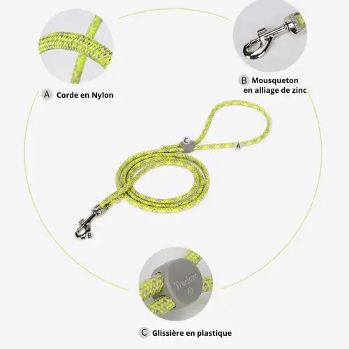 Laisse petit chien : Léger & Confortable Truelove Edison Laisse pour chien Truelove EDISON