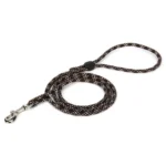 Laisse pour chien Truelove EDISON - marron