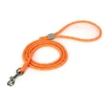 Laisse pour chien Truelove EDISON - orange