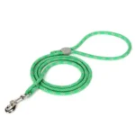 Laisse pour chien Truelove EDISON - vert