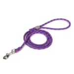 Laisse pour chien Truelove EDISON - violet