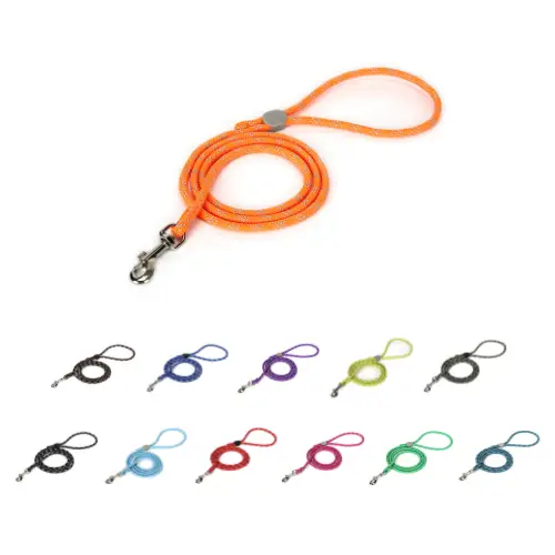 Laisse petit chien : Léger & Confortable Truelove Edison Laisse petit chien Edison - Vue de face avec poignée rembourrée légère