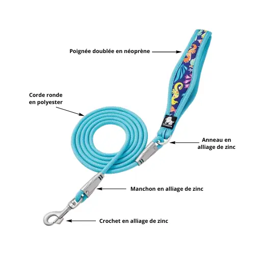 Laisse pour chien standard : Classique & Fiable Truelove Nemo Laisse pour chien Truelove Nemo