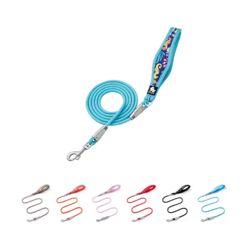 Laisse pour chien standard : Classique & Fiable Truelove Nemo Laisse pour chien Nemo standard - Vue de face avec poignée rembourrée