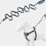 Laisse pour chien Truelove PULL Plus FLOWER - TLL3112