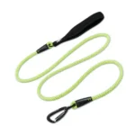 Laisse pour chien Truelove Running - jaune