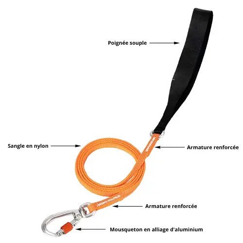 Laisse pour chien légère : Léger & Visible Truelove Réfléchissante Laisse pour chien Truelove réfléchissante et légère