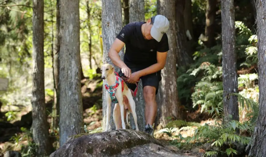 A propos - notre engagement truelove