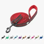 Laisse pour chien confortable truelove walk plus