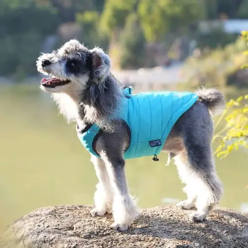 Veste pour chien Truelove manteau truelove