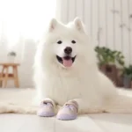 Chaussure pour chien Maille respirante portée lors d'une promenade estivale