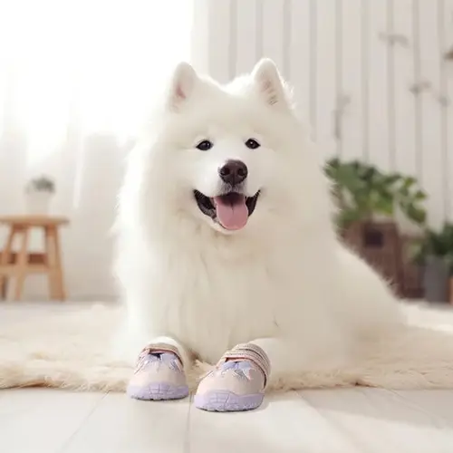 Chaussure pour chien maille respirante : Confort Respirant Truelove Chaussure pour chien Maille respirante portée lors d'une promenade estivale