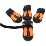 Chaussure pour Chien SHOE Truelove - orange