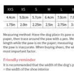 Chaussure pour chien Explorer - guide des tailles