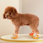 Chaussure pour chiot et petit chien Truelove