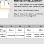 Chaussure pour petit chien - guide des tailles