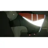 Bandes réfléchissantes du gilet de sauvetage pour chien