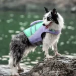 Gilet de sauvetage pour chien Truelove