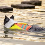 Gilet de sauvetage pour chien Truelove