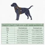 Gilet rafraîchissant pour chien - guide des tailles