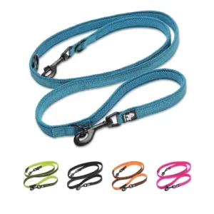 Laisse double chien 3 points Ride