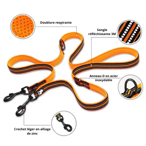 Laisse double chien : 2 Chiens Truelove 3 points Ride Laisse pour chien Truelove 3 points Ride