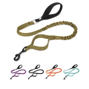 Laisse pour chien extensible 120-160cm Flow - Vue de face avec poignée rembourrée