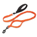 Laisse pour chien Truelove Flow - orange