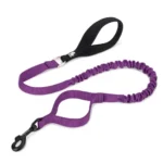 Laisse pour chien Truelove Flow - violet