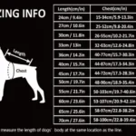 Manteau imperméable pour chien Spring - guide des tailles