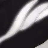 Manteau imperméable pour chien Spring : Waterproof & Protection Truelove Manteau imperméable pour chien Spring