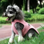 Pull polaire antibactérien pour chien porté lors d'une promenade en hiver