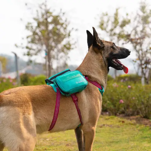 Sacoche horizontale pour harnais Truelove - TLB3011 - illustration Sacoche horizontale pour harnais Truelove