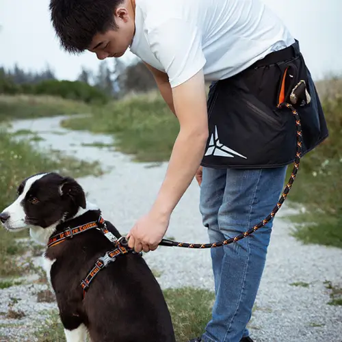 Tablier d'Entrainement Truelove Tablier d'Entrainement Truelove - TLQ1901