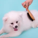 Brosse à Lissage Truelove SLIDE