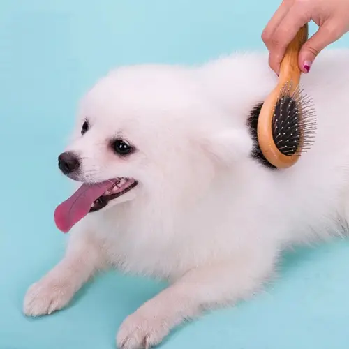 Brosse double face Truelove JOKER Brosse double face Truelove JOKER - TLK23131