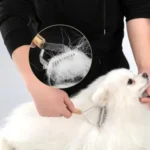 Brosse pour Chien Poils Morts Bambou