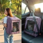 Chat installé dans un sac à dos chien sécurisé en situation de portage et en voiture.