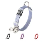 Collier Élastique de Sécurité pour Chat en Extérieur