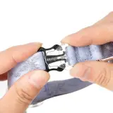 Fermeture sécurisée du collier pour chat anti-étranglement