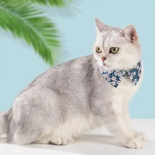 Collier pour Chat et Petit Chien Flower : Sécurité & Confort Collier pour Chat et petit Chien FLOWER