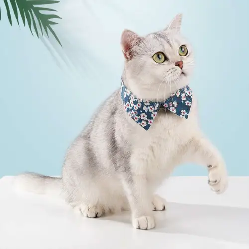 Collier pour Chat et Petit Chien Flower : Sécurité & Confort Collier pour Chat et petit Chien FLOWER
