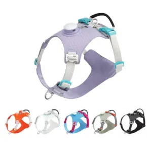 Harnais pour chien LED - Vue de côté